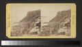 The Palisades and Englewood Landing (NYPL b11707647-G90F453 019F).tiff