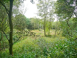 Sobiq Rishvort temir yo'l stantsiyasi, Barkisland - geograph.org.uk - 1503524.jpg