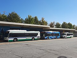 Three different types of transit busses at the Terminal Station transit hub.jpg