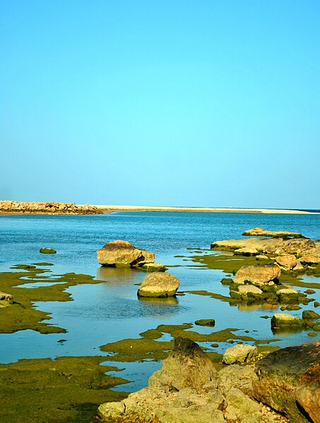 File:Tiwi Beach.JPG