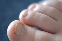 Human toes and nails