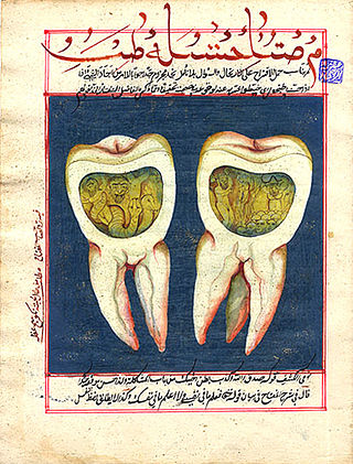 <span class="mw-page-title-main">Tooth worm</span>