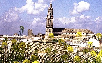 Torre inclinada de la Asunción "El espárrago" (Catedral de la Campiña)