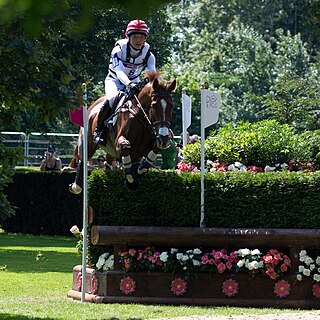 <span class="mw-page-title-main">Toshiyuki Tanaka</span> Japanese equestrian