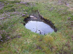 Tourbière: Conditions dapparition et de maintien des tourbières, Classification et typologie des tourbières, Formation des tourbières et de la tourbe