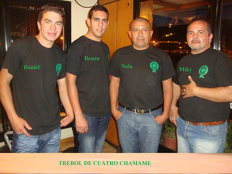 File:Trebol de cuatro chamame.jpg