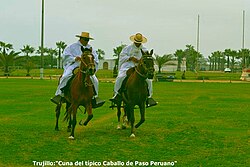 Chalanes trujillanos en caballos de paso