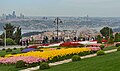 * Nomination Tulips garden with view on European Istanbul and the Bosphorus, Turkey. --Moroder 11:34, 14 May 2014 (UTC) * Decline  Oppose Flowers in the foreground are blur. --Graphium 17:02, 14 May 2014 (UTC)