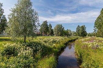 Tvärån, nära Rödäng i Umeå