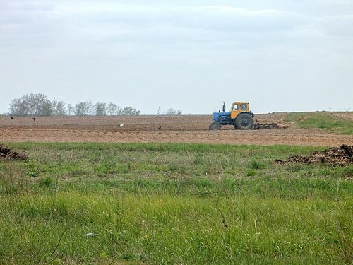 Two-color tractor on the field