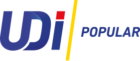 UDI logo