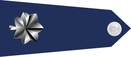 Tập_tin:US_Air_Force_O5_shoulderboard_rotated.svg