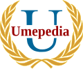 The award to the winner in the Umepedia Challenge.