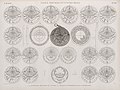 Vases, meubles et instrumens. 1-9. Astrolabe coufique en cuivre; 10-27. Plaques enfermés dans l'astrolabe (NYPL b14212718-1268867).jpg