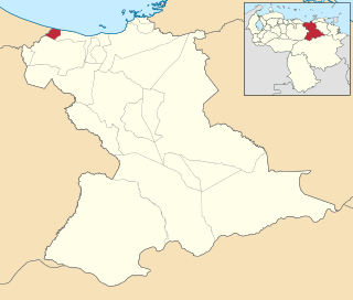 San Juan de Capistrano Municipality Municipality in Anzoátegui, Venezuela