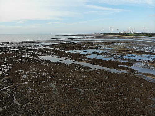 Guanxin algal reef, Taoyuan City, Taiwan Photograph: User:Yang yang end