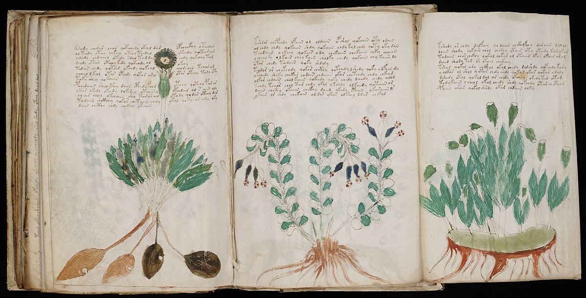 Voynich Manuscript (170).jpg