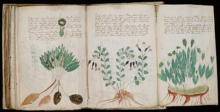 Manuskrip Voynich