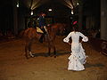 Flamenco - equestrian show