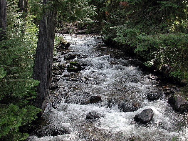 Walton Creek is the uppermost tributary of the Lochsa River. It flows through the Powell adult salmon trap before entering the river.