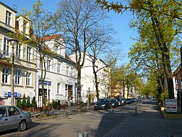 Wandlitzstr Karlshorst 110416 AMA fec (2)