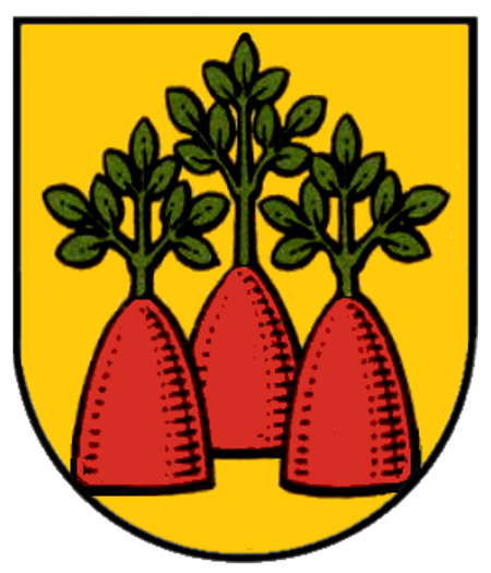 Wappen Heinzenberg (Taunus)