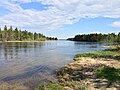 Waterhen River looking south from Waterhen Park