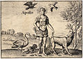 Gravure du XVIIe siècle représentant Apollon avec les animaux qui lui sont associés, dont le corbeau