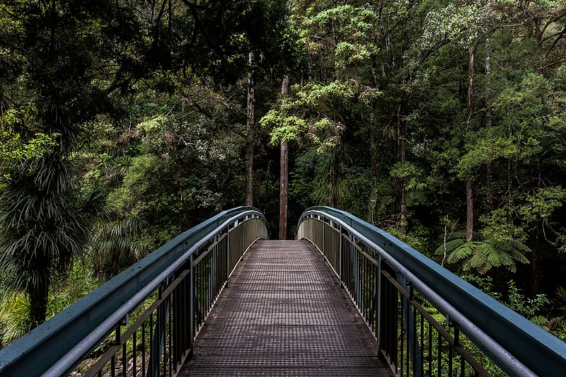 File:Whangarei Falls, Whangarei, New Zealand (Unsplash eOpewngf68w).jpg