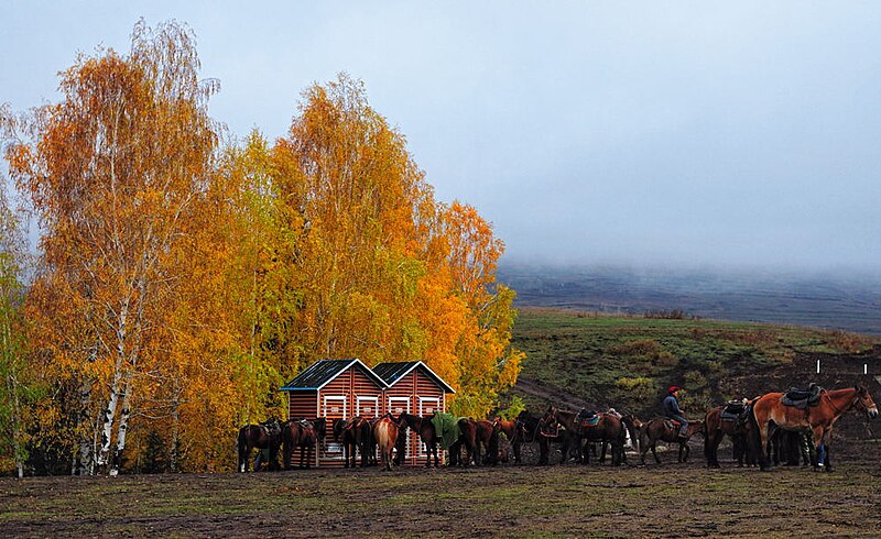 File:Xinjiang DSC 0851 (5273052113).jpg