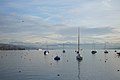 Zürichsee