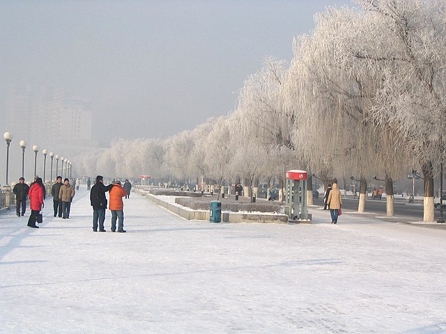 Winter rime trees of Jilin City