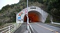 大江トンネル - panoramio.jpg