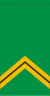 04. Мали армиясы-SGT.svg