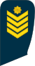12-Lithuania Air Force-SGM.svg