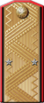 Luitenant-generaal van Naval Artillery