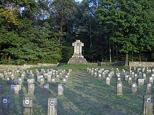 Воинское кладбище № 198, Блоне, Польша