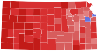 <span class="mw-page-title-main">2010 Kansas gubernatorial election</span>