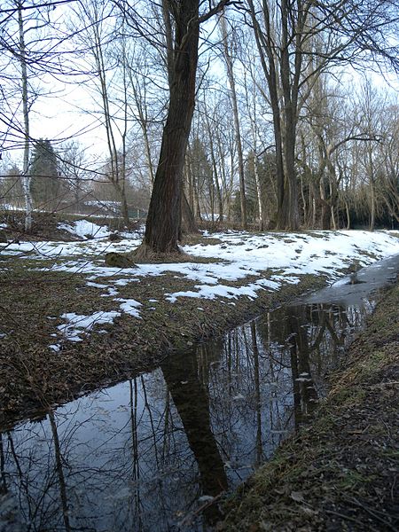 File:20150219 82 Wienerwaldsee (Large) (16555770216).jpg