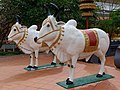 * Nomination Oxen statues at the Wat Preah Prom Rath temple in Siem Reap, Cambodia --Jakubhal 19:54, 9 March 2019 (UTC) * Promotion  Support Good quality. Geo ref would be good --Podzemnik 21:51, 9 March 2019 (UTC)