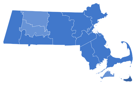 Democratic gubernatorial primary results by county:
Gonzalez--70-80%
Gonzalez--60-70%
Gonzalez--50-60% 2018 MA gubernatorial D primary.svg