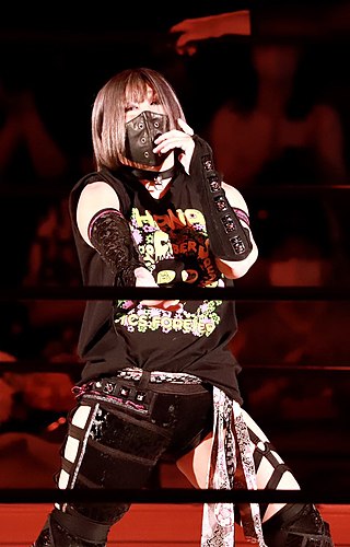 <span class="mw-page-title-main">Konami (wrestler)</span> Japanese professional wrestler