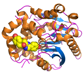 <span class="mw-page-title-main">Renilla-luciferin 2-monooxygenase</span>