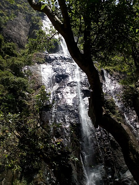 File:A close up of Bambarakanda Waterfall in Sri Lanka.jpg