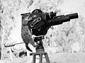 A possum and a movie camera 1943.jpg