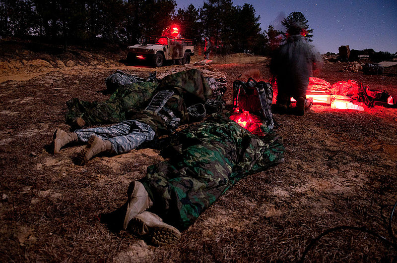 File:Airborne artillery unit fires live rounds during mass training exercise DVIDS369521.jpg