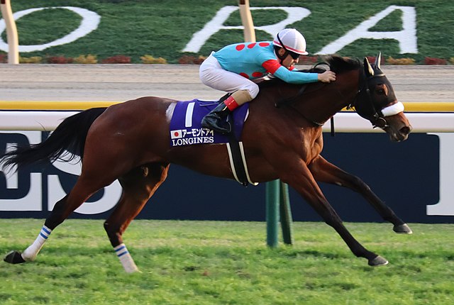 アーモンドアイ　競馬　競走馬　ジャージ　ブルゾン