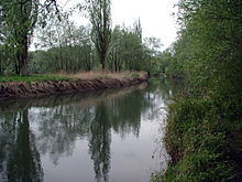 The Old Rhine (Alter Rhein) in Höchst