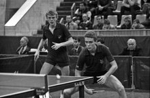 Table Tennis Wikipedia