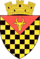The coat of arms of Anenii Noi, Moldova. (city, county capital)